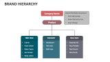 Brand Hierarchy - Slide 6