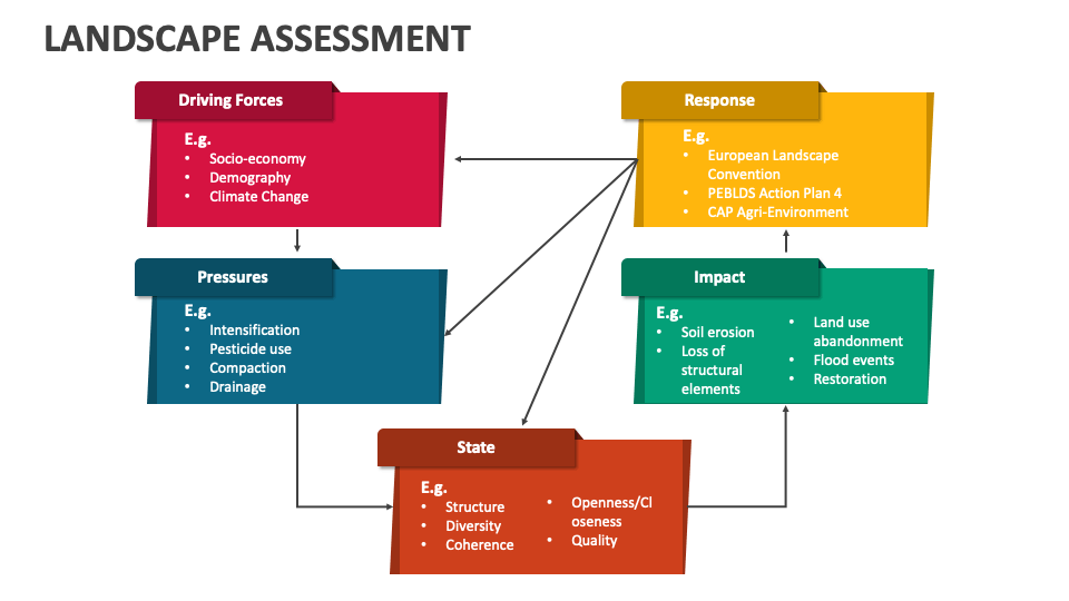 Landscape Assessment PowerPoint and Google Slides Template PPT Slides