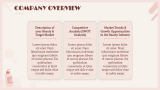 Beauty Products Brand Business Plan - Slide 3