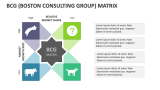 BCG (Boston Consulting Group) Matrix - Slide 4