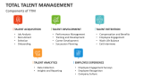 Components of Total Talent Management - Slide 5
