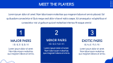 Forex Trading Presentation Theme - Slide 4