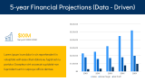 Consulting Firm Business Plan - Slide 12