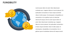 Fungibility - Slide 1