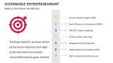 Metrics that Move the Mission Sustainable Entrepreneurship - Slide 12