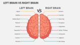 Left Brain Vs Right Brain - Slide 1