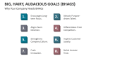 Why Your Company Needs Big, Hairy, Audacious Goals (BHAGS) - Slide 3