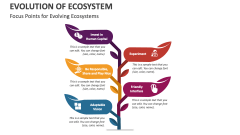 Focus Points for Evolving Ecosystems - Slide 1