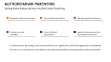 Setting Rules & Boundaries in Authoritarian Parenting - Slide 10