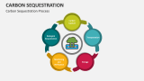 Carbon Sequestration Process - Slide 4