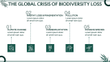 Endangered Species Presentation - Slide 4