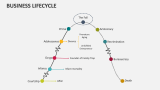 Phases of Business Lifecycle - Slide 14
