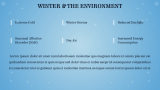 Welcome Winter - Slide 8