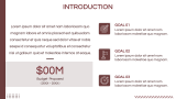 Budget Proposal - Slide 3