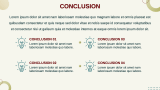Online Course Business Plan - Slide 13