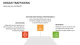 How are you involved? | Organ Trafficking - Slide 8