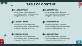 Travel Plan Presentation - Slide 2