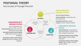 Key Concepts of Polyvagal Theory24 - Slide 2