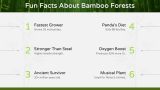 Bamboo Forest Presentation Theme - Slide 8