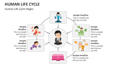 Human Life Cycle Stages - Slide 1