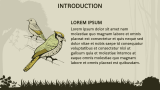 Forest Theme - Slide 2