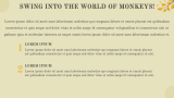Monkey Presentation - Slide 3