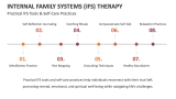 Practical Internal Family Systems (IFS) Therapy Tools & Self-Care Practices - Slide 9