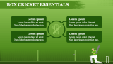 Box Cricket Theme - Slide 5