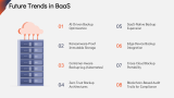 Backup as a Service (BaaS) - Slide 13