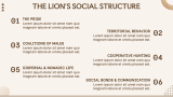 Lion Presentation - Slide 7