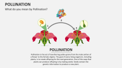 What do you mean by Pollination? - Slide 1