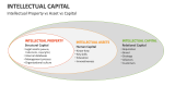 Intellectual Property vs Asset vs Capital - Slide 6