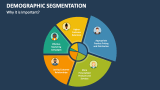 Why Demographic Segmentation is Important? - Slide 2