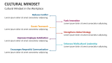 Cultural Mindset in the Workplace - Slide 7