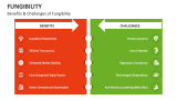 Benefits & Challenges of Fungibility - Slide 7