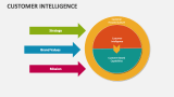 Customer Intelligence - Slide 3