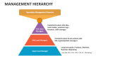 Management Hierarchy - Slide 6