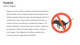 What is Plague? - Slide 2