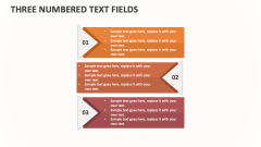 Three Numbered Text Fields - Slide 1