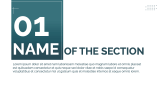 Organization Profile - Slide 3