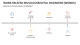 What are the Symptoms of Work-Related Musculoskeletal Disorders (WMSDS)? - Slide 4