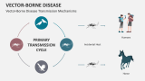 Vector-Borne Disease Transmission Mechanisms - Slide 5