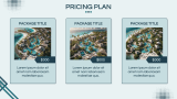 Market Analysis - Slide 12