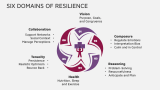 Strategies to Build Resilience - Slide 7