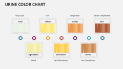 Urine Color Chart - Slide 1