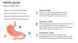Types of Peptic Ulcer - Slide 3