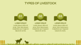 Livestock Theme - Slide 5