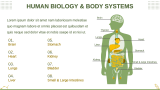 Advanced Biology for High School - Slide 9