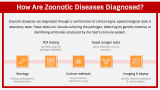 Zoonotic Diseases - Slide 5