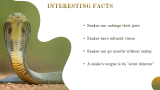 Snake Presentation - Slide 10